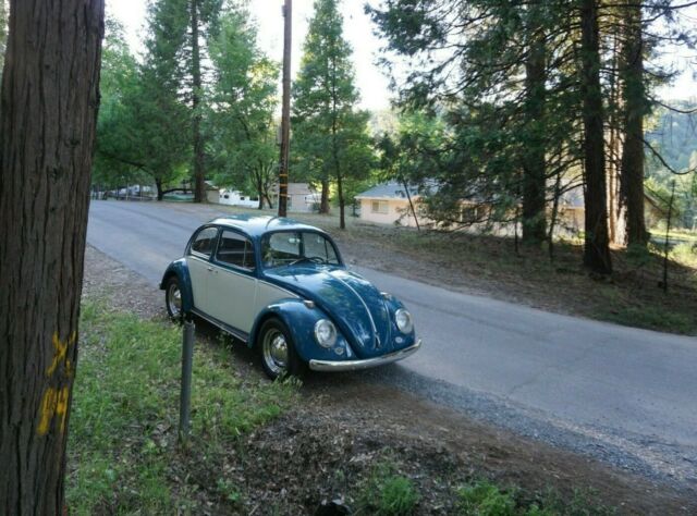 Volkswagen Beetle - Classic 1966 image number 21