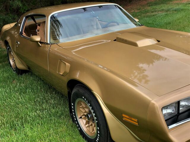 Pontiac Trans Am 1978 image number 10