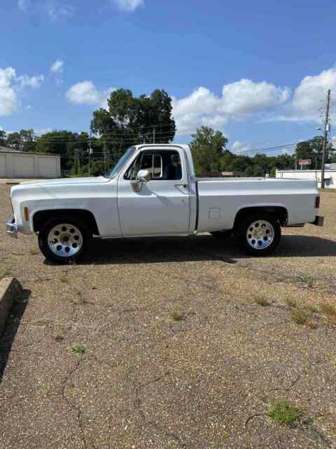 Chevrolet C10/K10 1975 image number 2