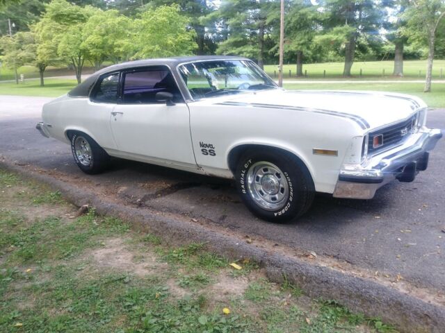 Chevrolet Nova 5.7 1974 image number 0