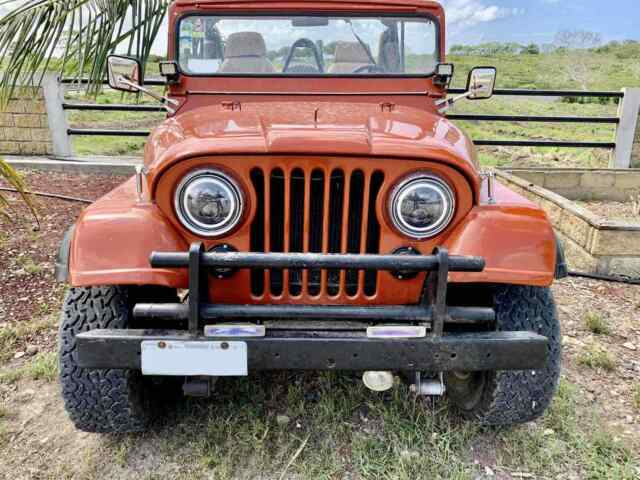 Jeep Willys Cj5 1960 image number 0