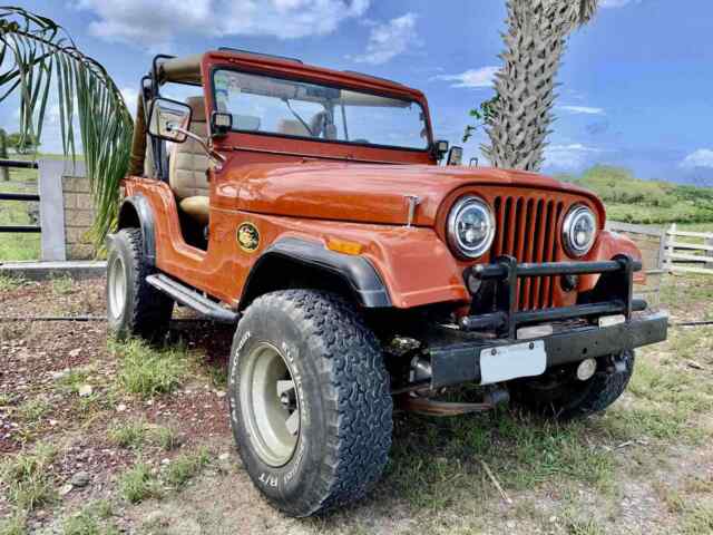 Jeep Willys Cj5 1960 image number 1