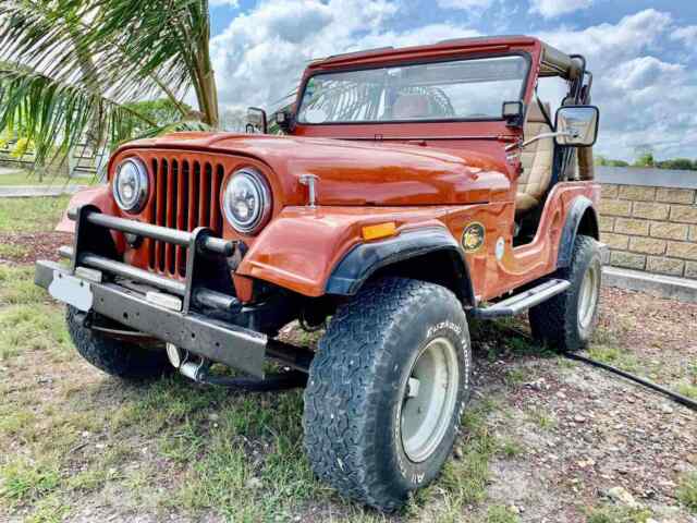 Jeep Willys Cj5 1960 image number 19