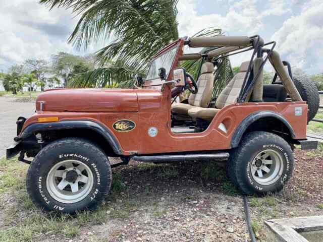 Jeep Willys Cj5 1960 image number 21