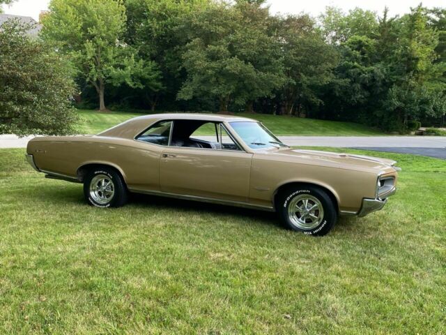 Pontiac GTO 1966 image number 6