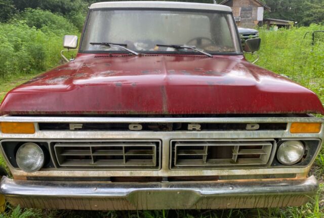 Ford F-150 1976 image number 3