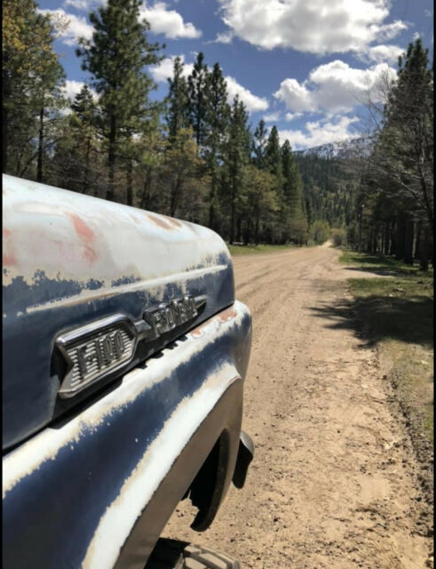 Ford F-100 1960 image number 3