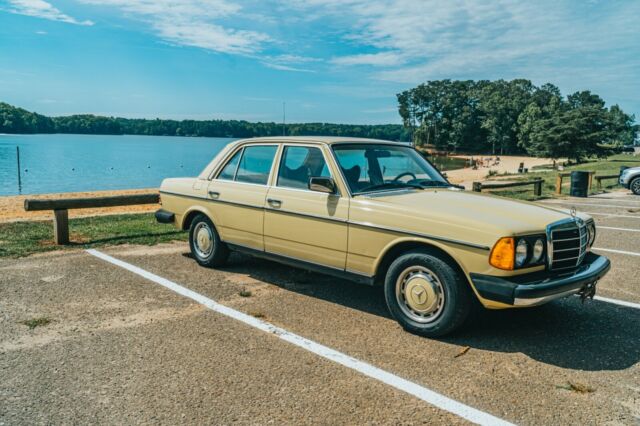 Mercedes-Benz 300-Series 1979 image number 1