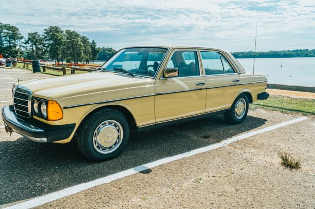 Mercedes-Benz 300-Series 1979 image number 14