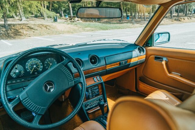 Mercedes-Benz 300-Series 1979 image number 15