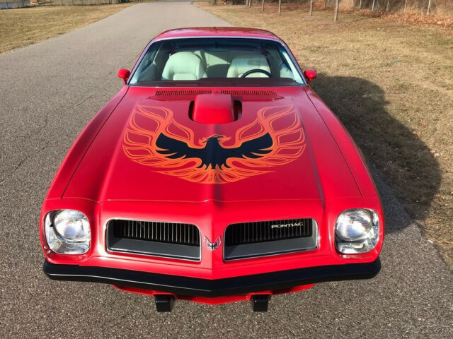 Pontiac Trans Am 1974 image number 8