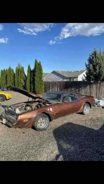 Pontiac Trans Am 1978 image number 16