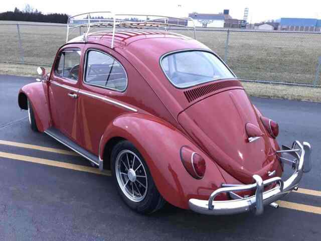 Volkswagen Beetle (Pre-1980) 1964 image number 13