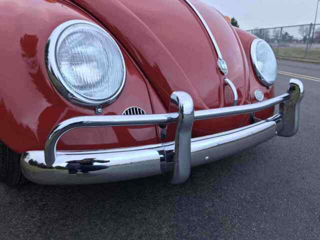 Volkswagen Beetle (Pre-1980) 1964 image number 22