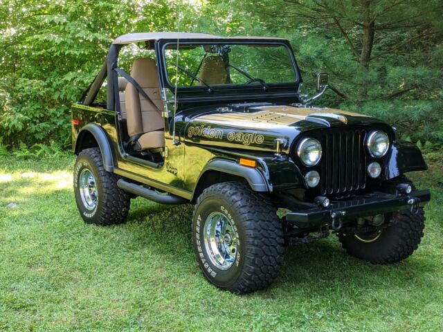 Jeep CJ 1978 image number 1