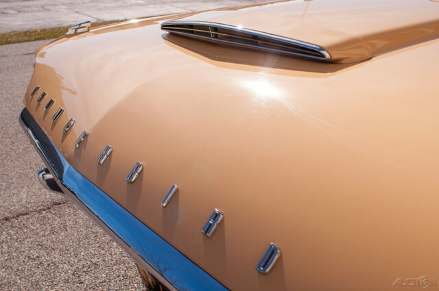 Ford Thunderbird 1964 image number 9