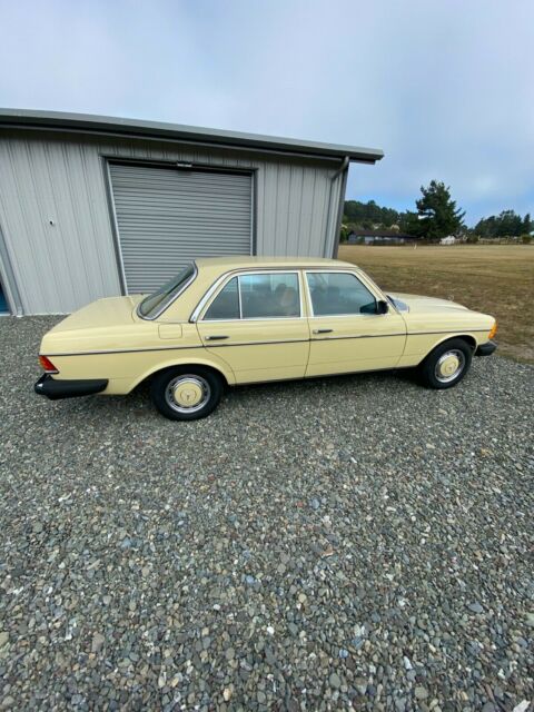 Mercedes-Benz 300-Series 1977 image number 19