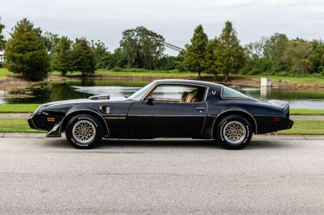 Pontiac Trans Am 1979 image number 28