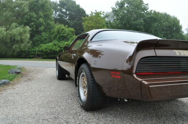 Pontiac Trans Am 1979 image number 12