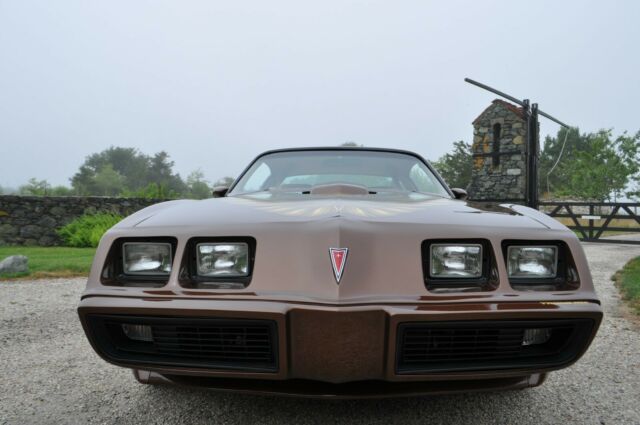 Pontiac Trans Am 1979 image number 14