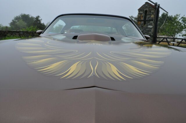 Pontiac Trans Am 1979 image number 2