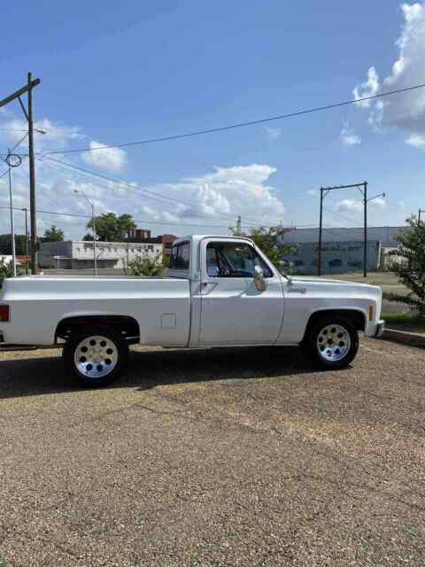 Chevrolet C10/K10 1975 image number 1