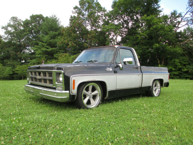 Chevrolet C-10 1979 image number 1