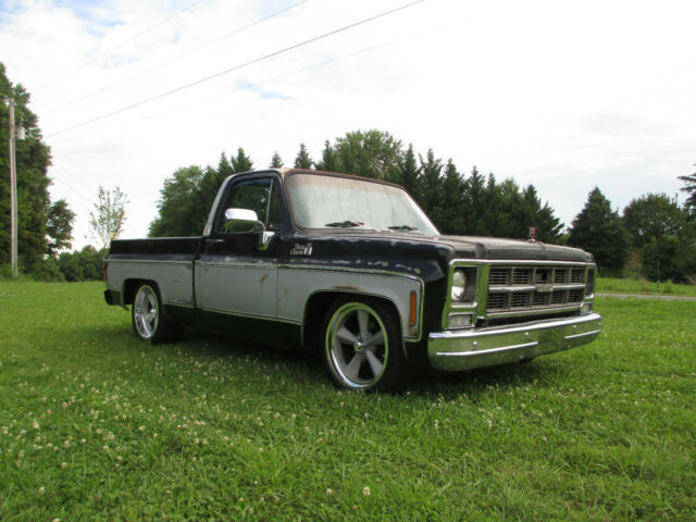 Chevrolet C-10 1979 image number 16