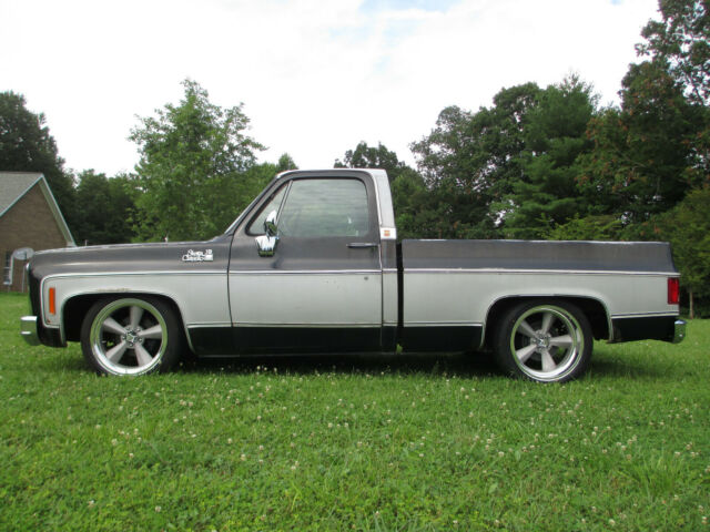 Chevrolet C-10 1979 image number 18