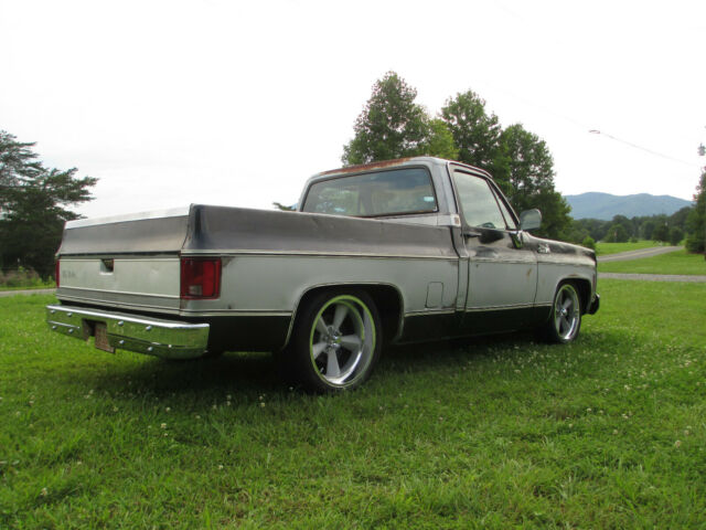 Chevrolet C-10 1979 image number 22