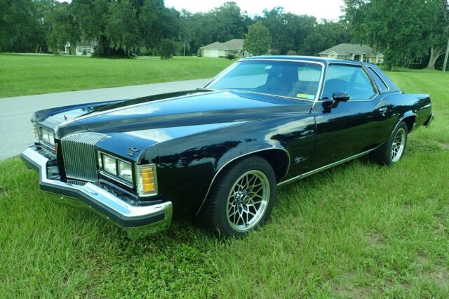 Pontiac Grand Prix 1976 image number 18