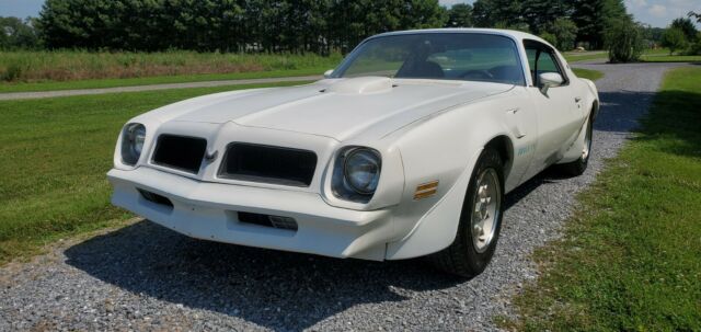 Pontiac Trans Am 1976 image number 27