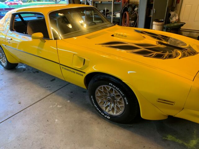 Pontiac Trans Am 1976 image number 1