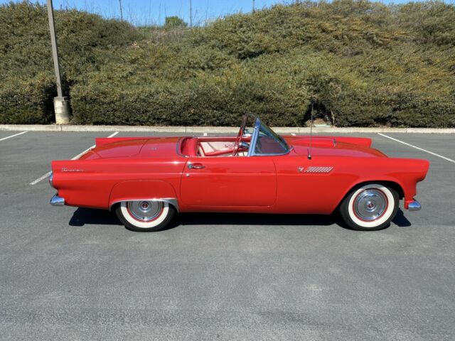 Ford Thunderbird 1955 image number 37