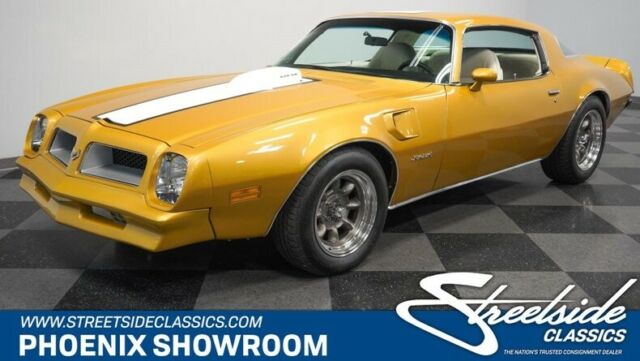 Pontiac Firebird 1976 image number 0