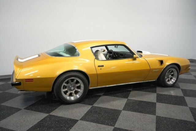 Pontiac Firebird 1976 image number 14