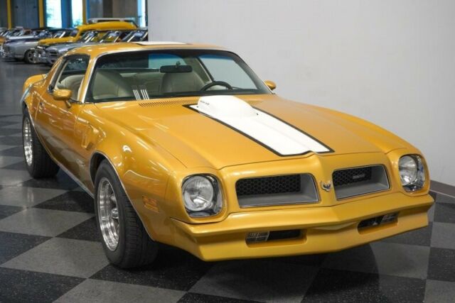 Pontiac Firebird 1976 image number 18