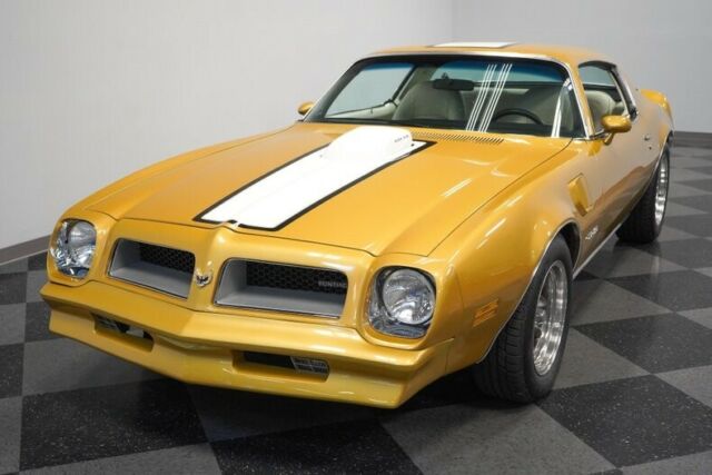 Pontiac Firebird 1976 image number 20