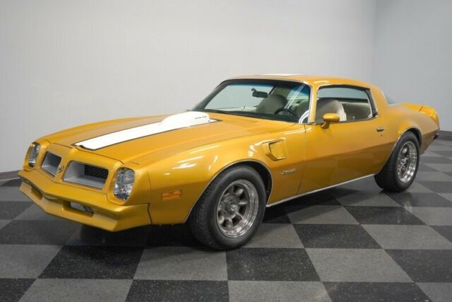 Pontiac Firebird 1976 image number 21