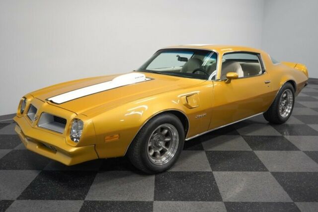 Pontiac Firebird 1976 image number 29