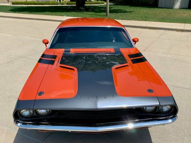 Dodge Challenger 1970 image number 37