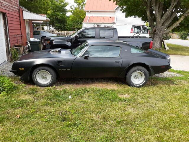 Pontiac Trans Am 1975 image number 0