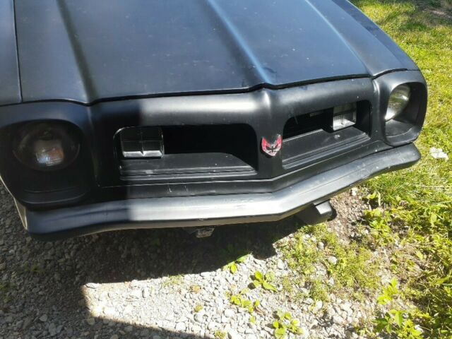 Pontiac Trans Am 1975 image number 32