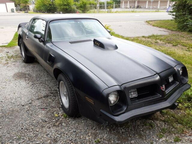 Pontiac Trans Am 1975 image number 44