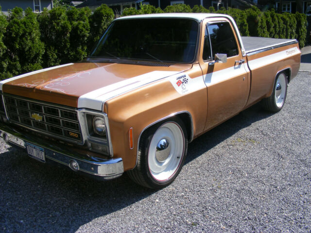 Chevrolet C-10 1979 image number 2