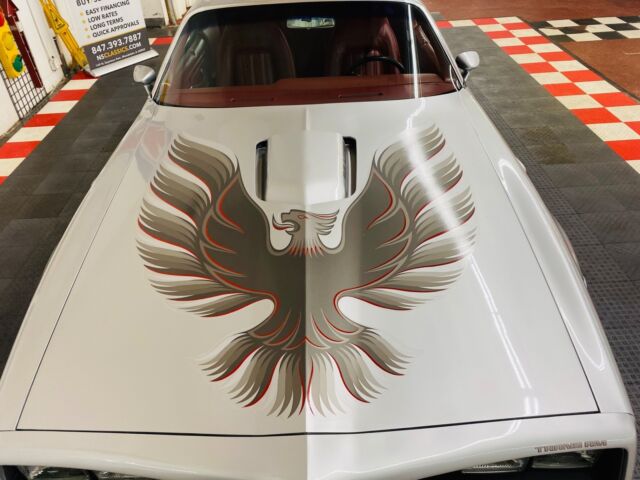 Pontiac Firebird 1977 image number 12