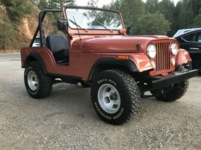 Jeep CJ 1970 image number 1