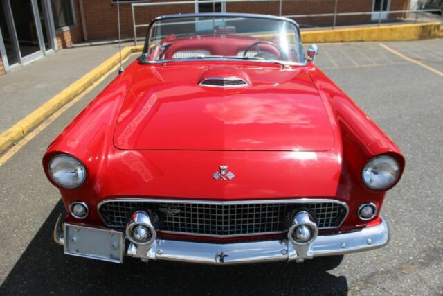 Ford Thunderbird 1955 image number 7