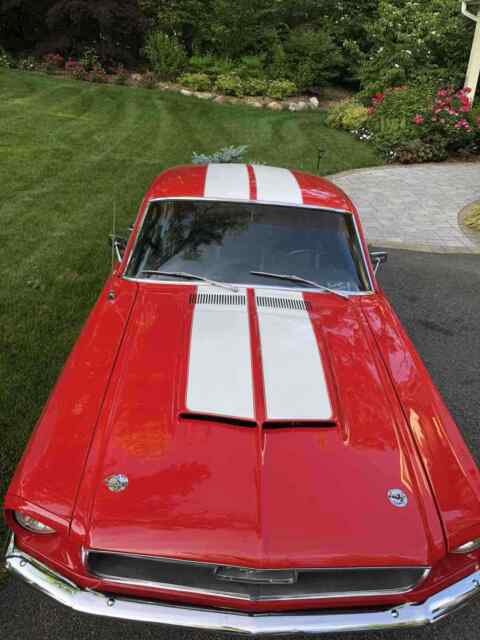 Ford Mustang 1967 image number 19