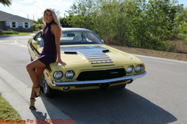 Dodge Challenger 1974 image number 30